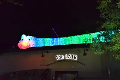 DSC_7027 (Large).JPG